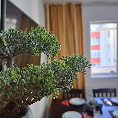 Aviliz Apartament Szászbuda Kültér fotó