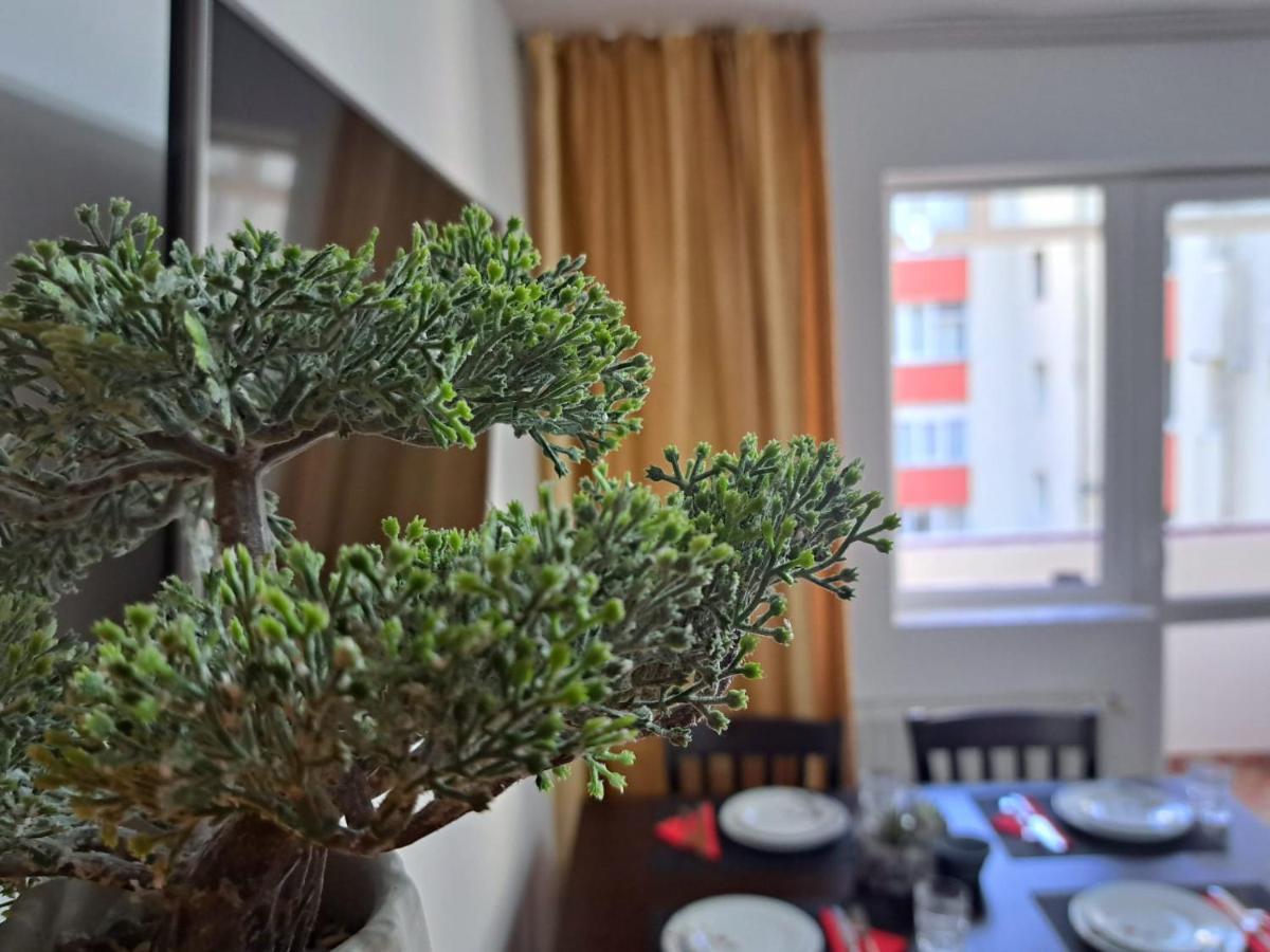 Aviliz Apartament Szászbuda Kültér fotó