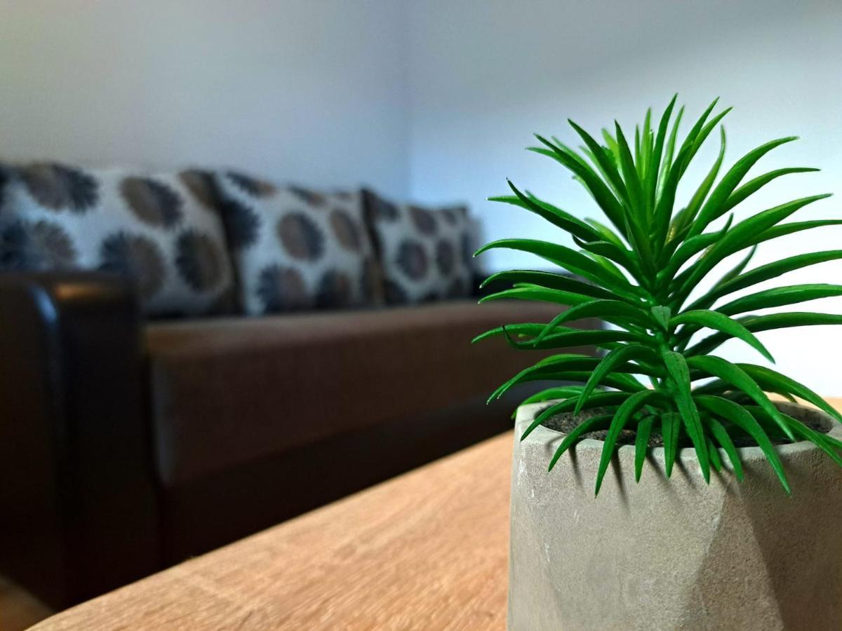 Aviliz Apartament Szászbuda Kültér fotó