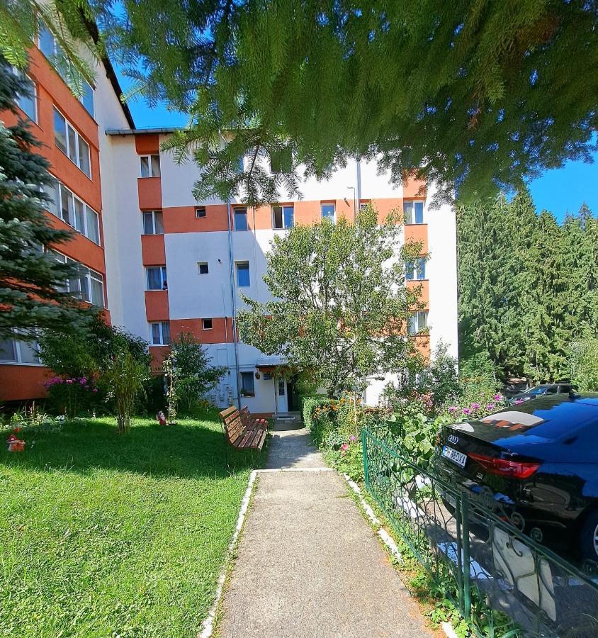 Aviliz Apartament Szászbuda Kültér fotó