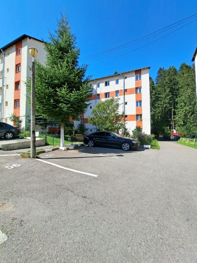 Aviliz Apartament Szászbuda Kültér fotó