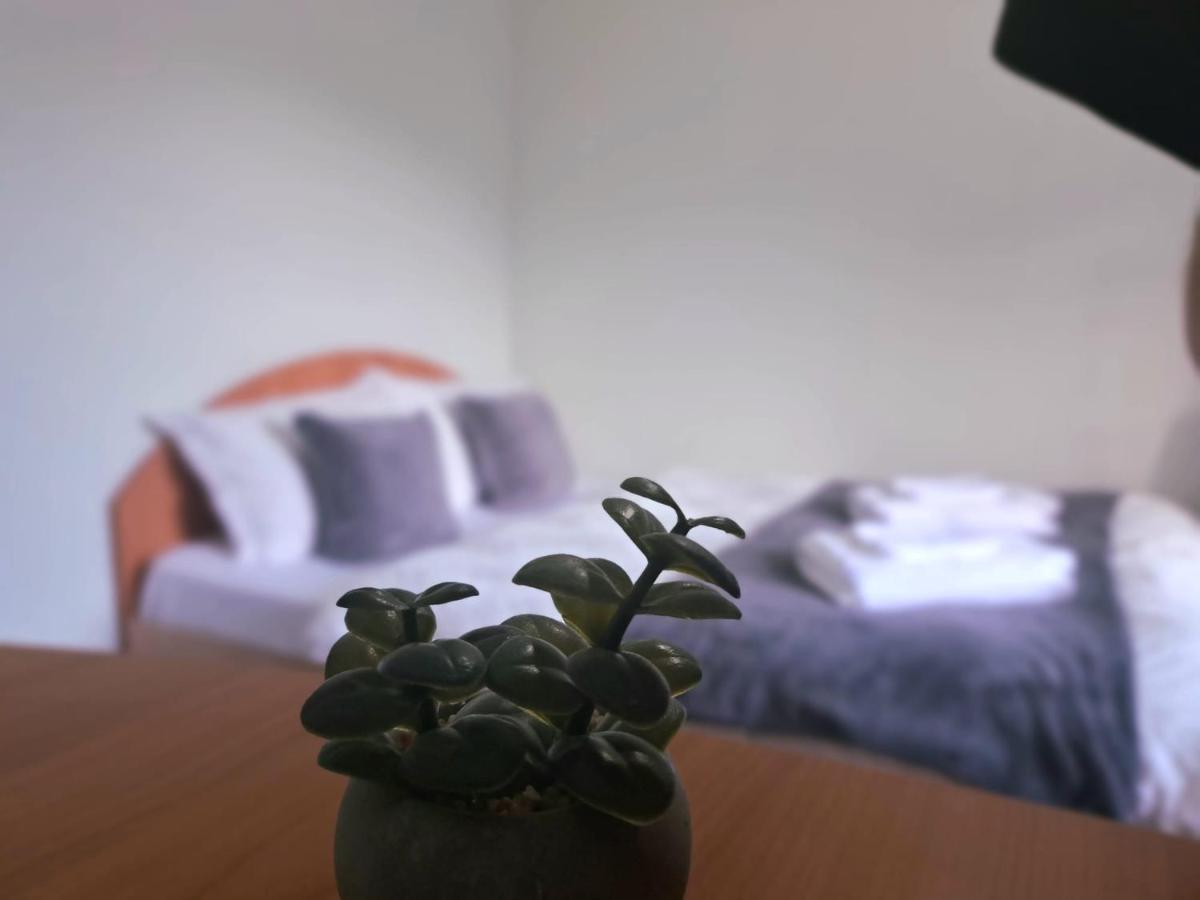 Aviliz Apartament Szászbuda Kültér fotó
